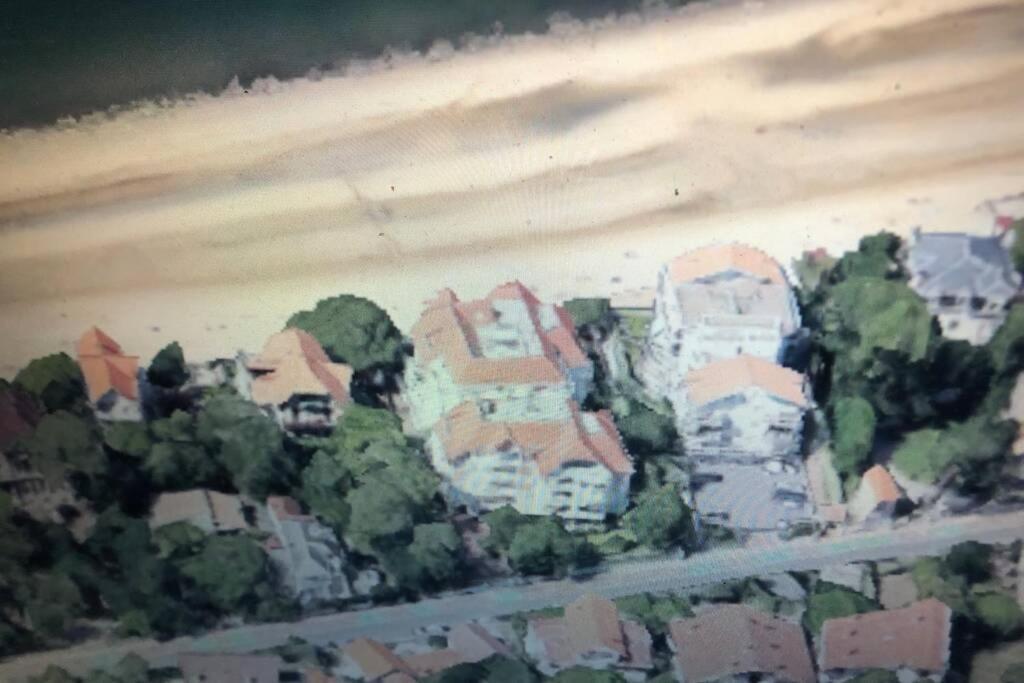 Appart Sur La Plage Pied Dans L Eau Avec Terrasse Jardin Vue Sur Le Bassin Depuis La Terrasse , Parking Arcachon Eksteriør bilde