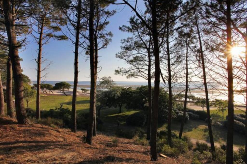Appart Sur La Plage Pied Dans L Eau Avec Terrasse Jardin Vue Sur Le Bassin Depuis La Terrasse , Parking Arcachon Eksteriør bilde