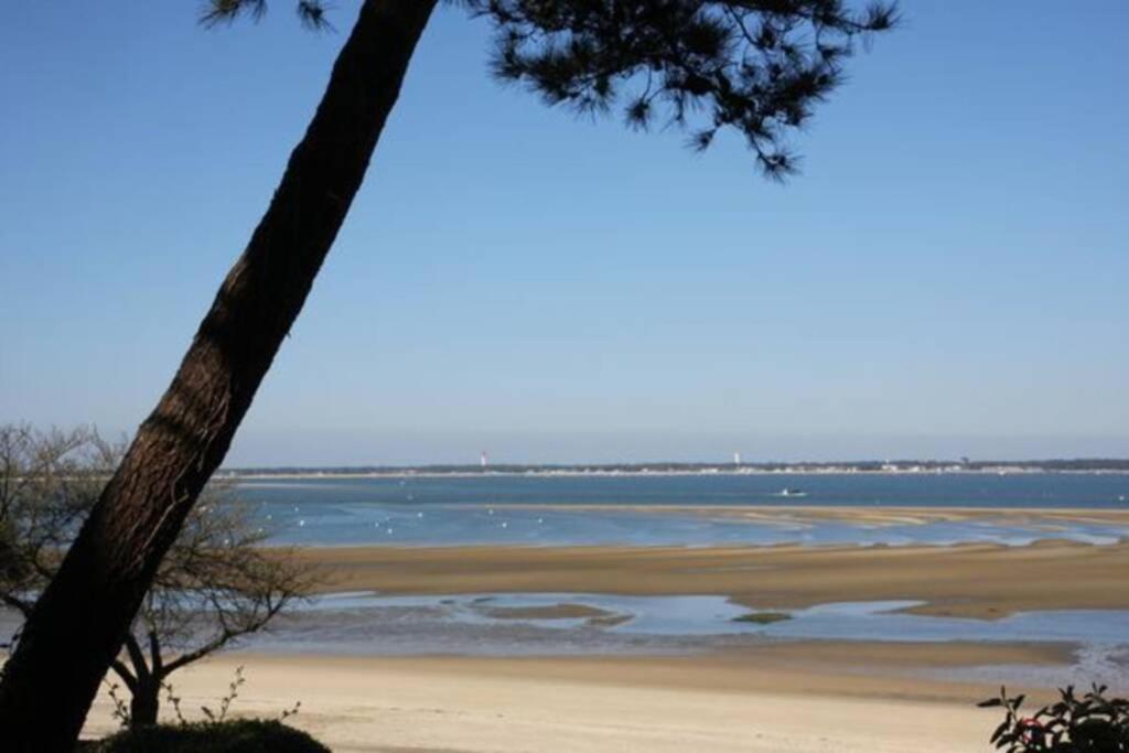 Appart Sur La Plage Pied Dans L Eau Avec Terrasse Jardin Vue Sur Le Bassin Depuis La Terrasse , Parking Arcachon Eksteriør bilde