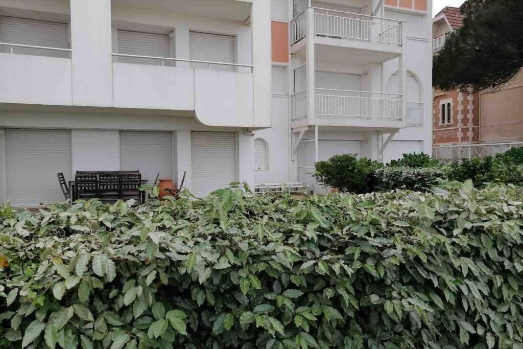 Appart Sur La Plage Pied Dans L Eau Avec Terrasse Jardin Vue Sur Le Bassin Depuis La Terrasse , Parking Arcachon Eksteriør bilde