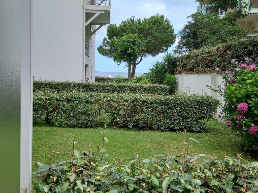 Appart Sur La Plage Pied Dans L Eau Avec Terrasse Jardin Vue Sur Le Bassin Depuis La Terrasse , Parking Arcachon Eksteriør bilde