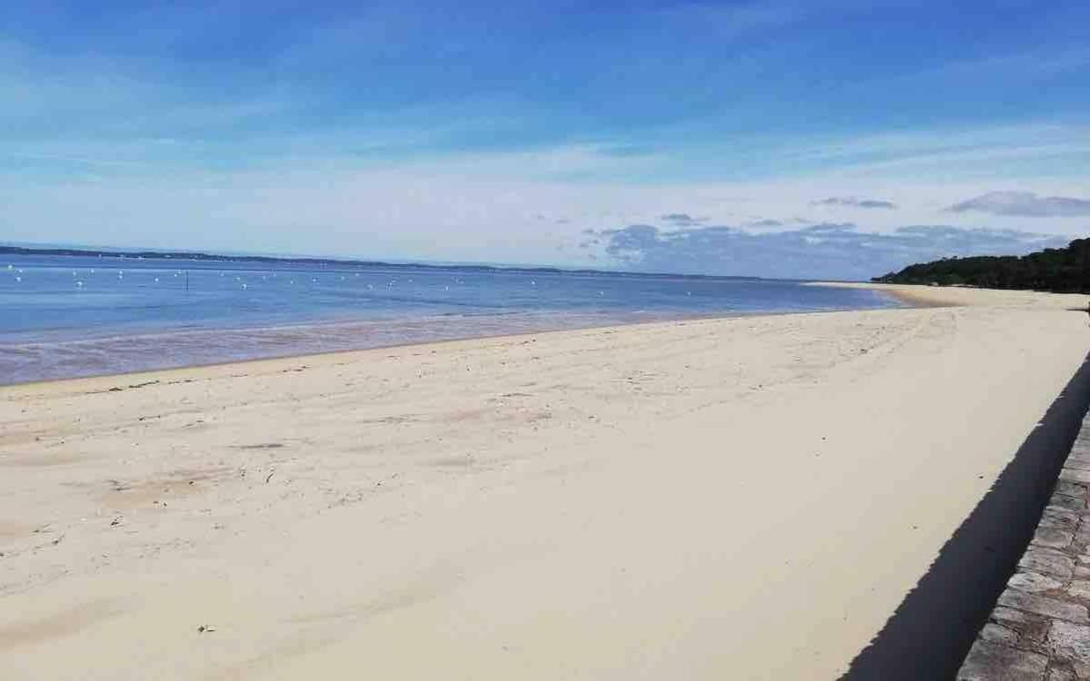Appart Sur La Plage Pied Dans L Eau Avec Terrasse Jardin Vue Sur Le Bassin Depuis La Terrasse , Parking Arcachon Eksteriør bilde